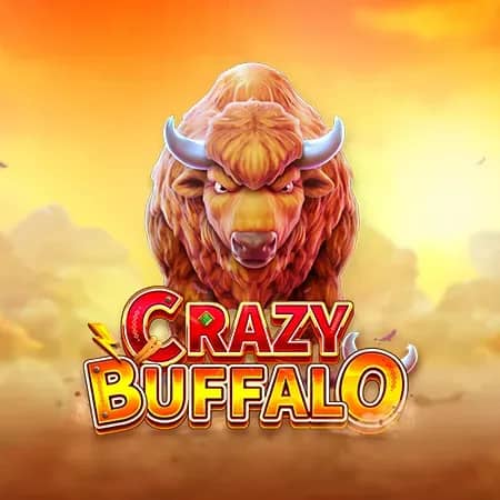 Crazy Buffalo