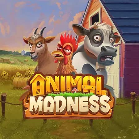 Animal Madness