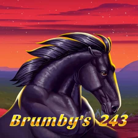 Brumby's 243
