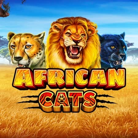 African Cats